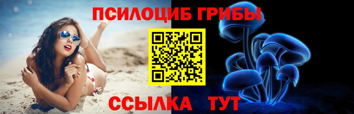 Псилоцибиновые грибы MAGIC MUSHROOMS Северск