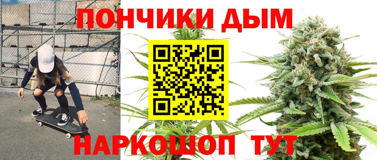Бошки Шишки план Северск
